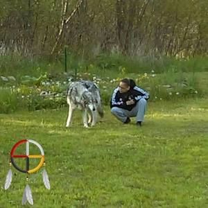 Meet your Posher, Danica